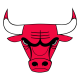 Bulls logo